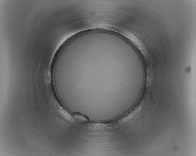 X0000097620924200803141959
