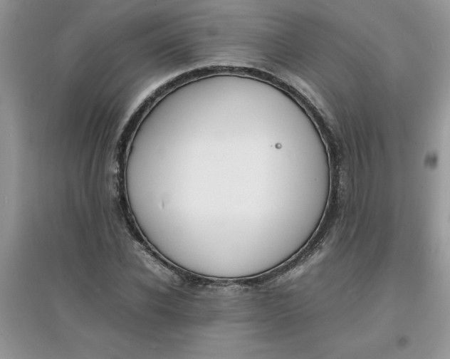 X0000097620926200803141959