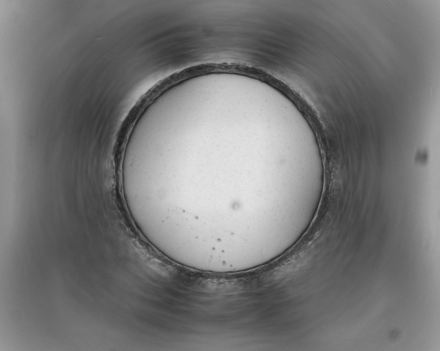X0000097620927200803141959