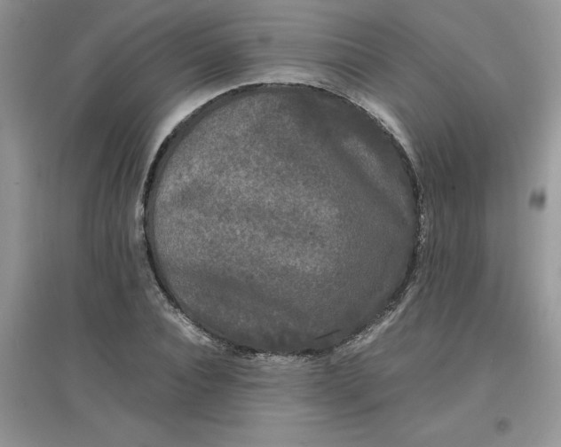 X0000097620928200803141959