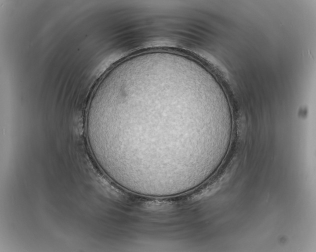 X0000097620929200803141959
