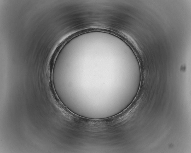 X0000097620931200803141959