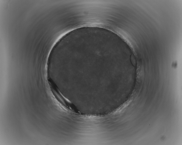 X0000097620932200803141959