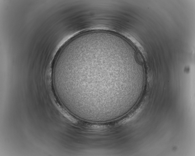 X0000097620933200803141959