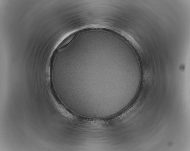 X0000097620934200803141959