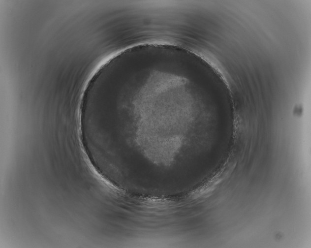 X0000097620935200803141959