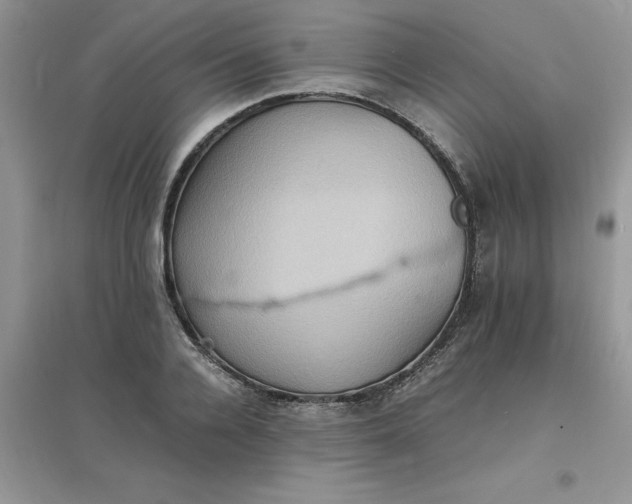 X0000097620936200803141959