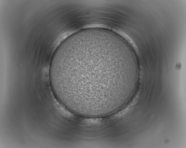 X0000097620937200803141959