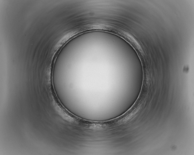 X0000097620938200803141959