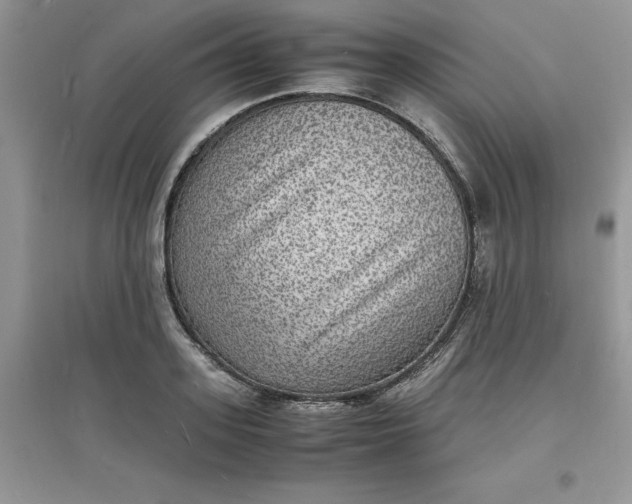 X0000097620939200803141959