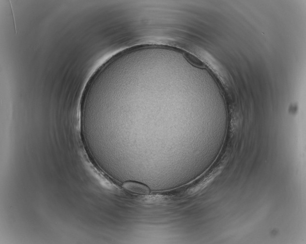 X0000097620940200803141959