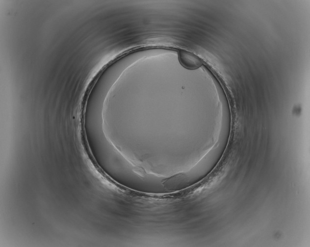 X0000097620941200803141959