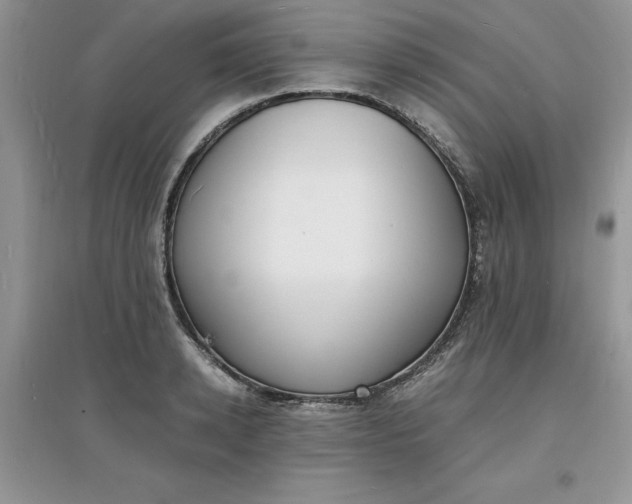 X0000097620942200803141959
