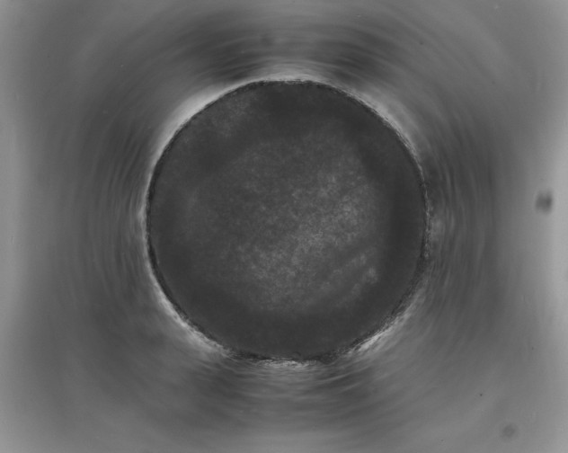 X0000097620943200803141959