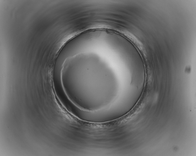 X0000097620945200803141959