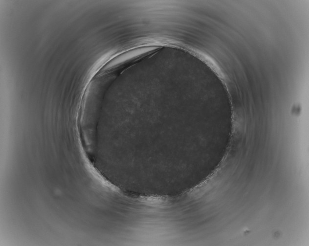 X0000097620946200803141959