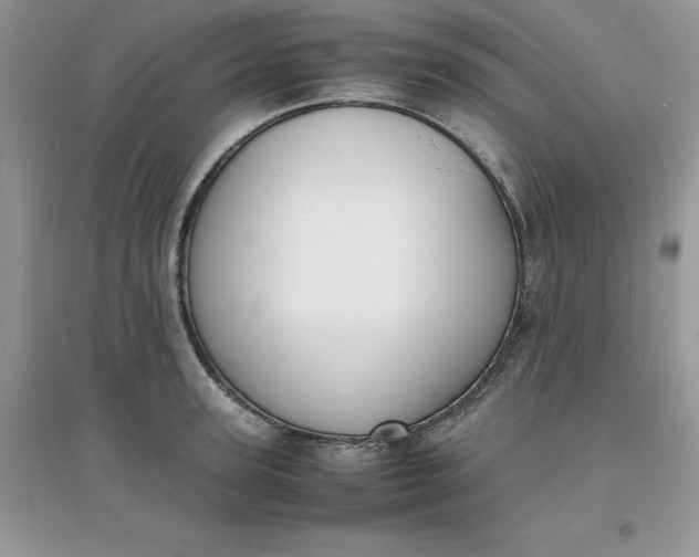 X0000097620947200803141959