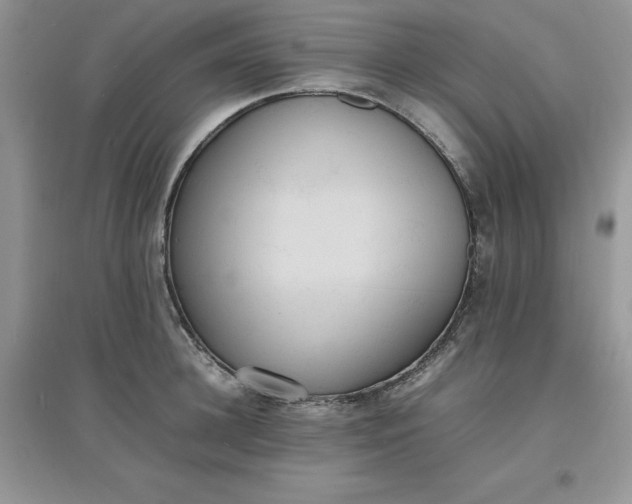 X0000097620948200803141959