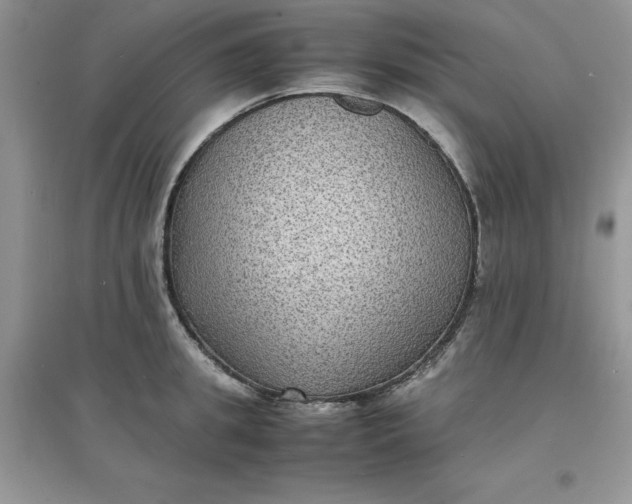 X0000097620949200803141959