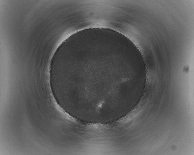 X0000097620950200803141959