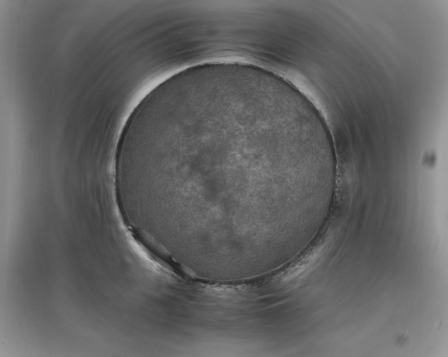 X0000097620951200803141959