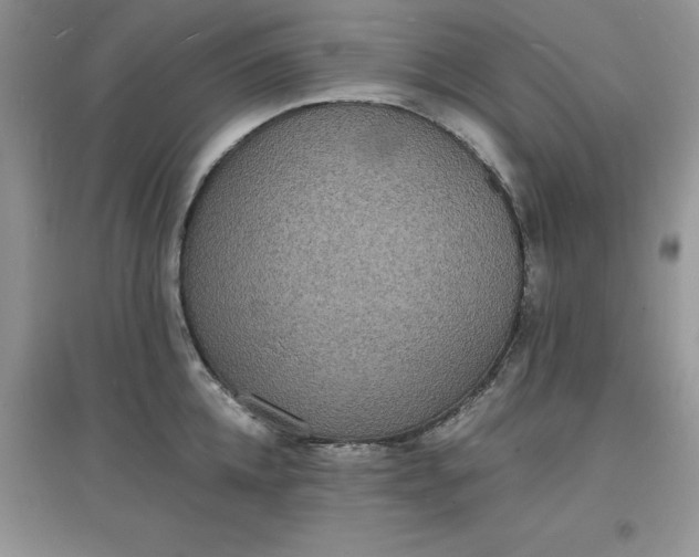 X0000097620952200803141959