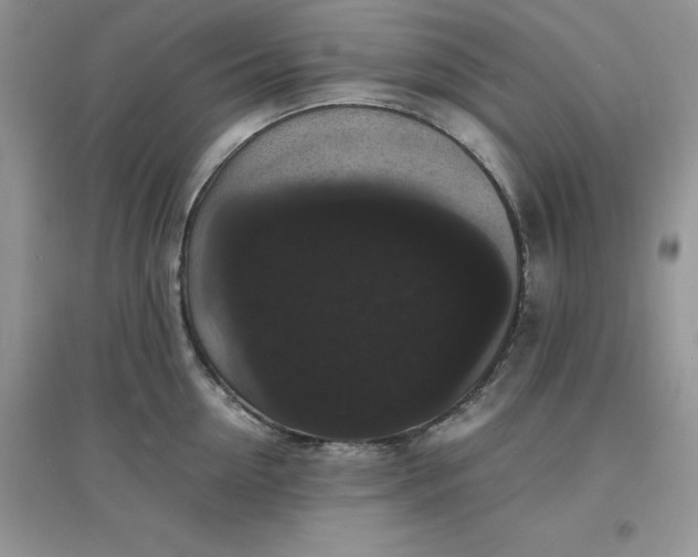 X0000097620954200803141959