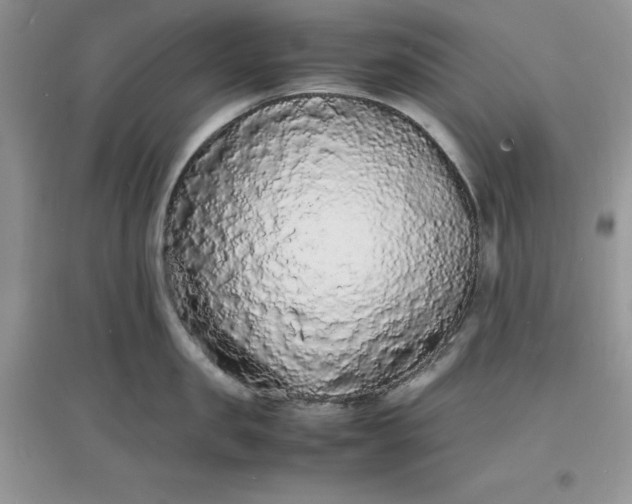 X0000097620957200803141959