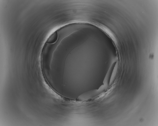 X0000097620958200803141959