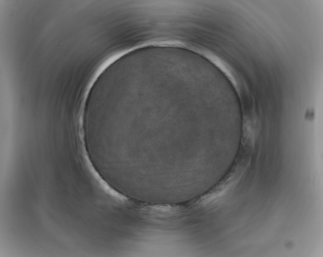 X0000097620959200803141959