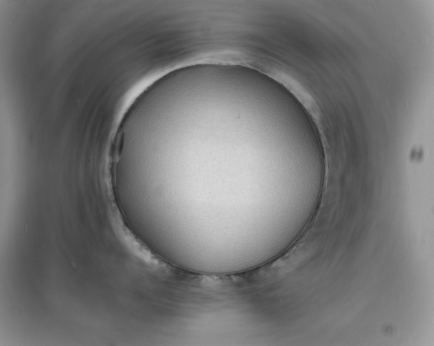X0000097620960200803141959
