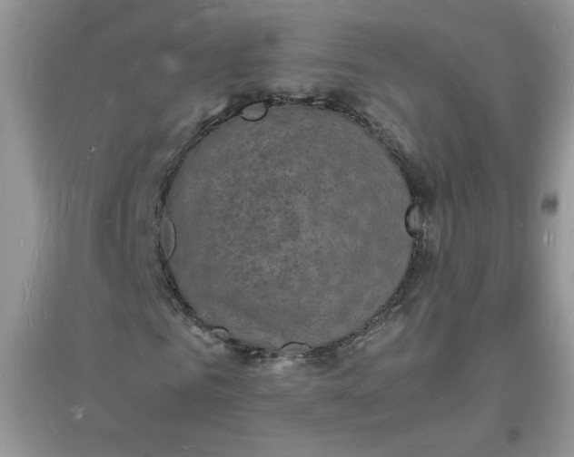 X0000097620961200803141958