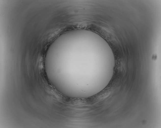 X0000097620962200803141958