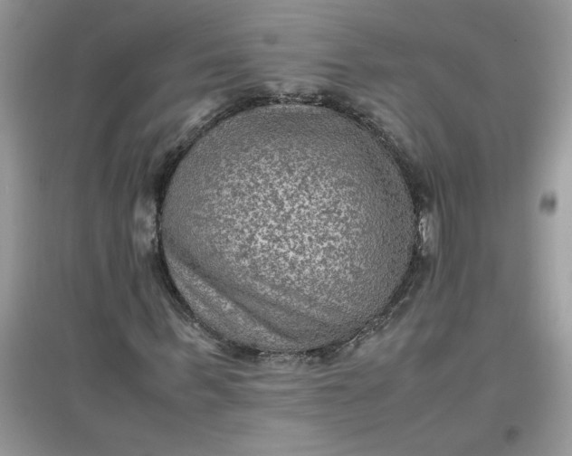 X0000097620963200803141958
