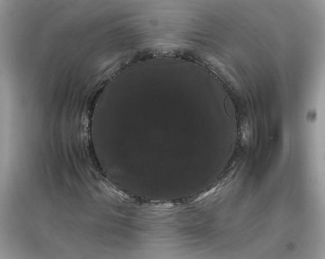 X0000097620964200803141958
