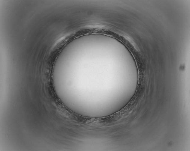 X0000097620967200803141958