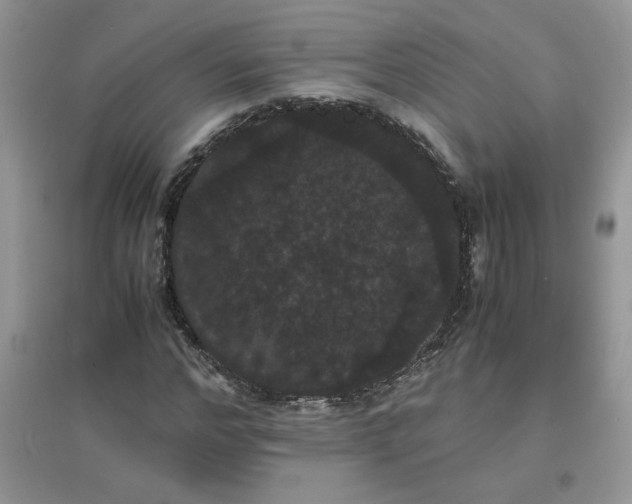 X0000097620968200803141958