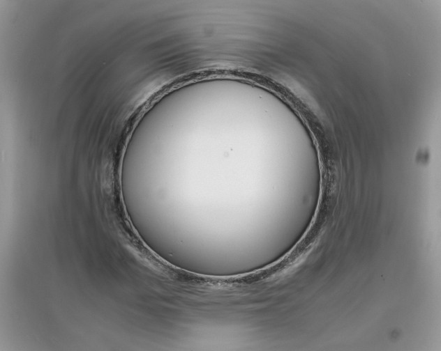 X0000097620969200803141958