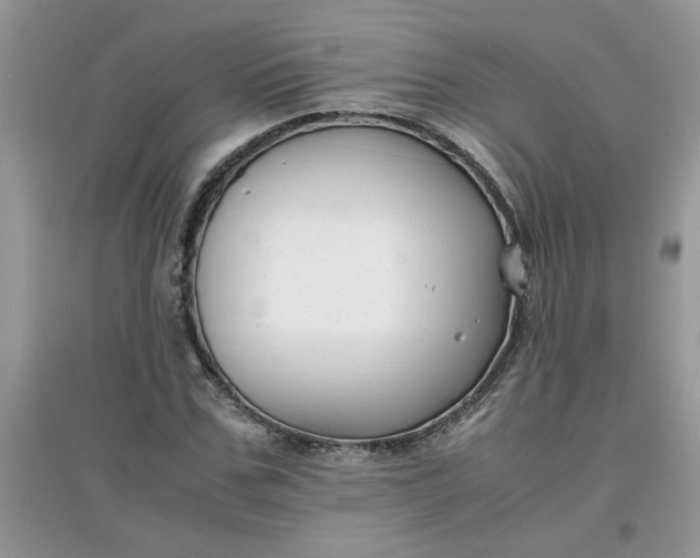 X0000097620971200803141958