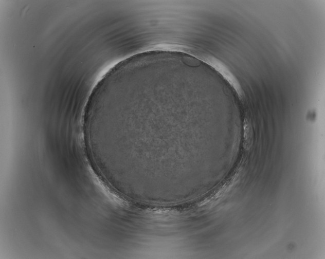 X0000097620972200803141958