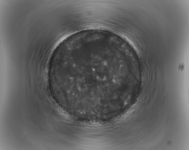 X0000097620975200803141958