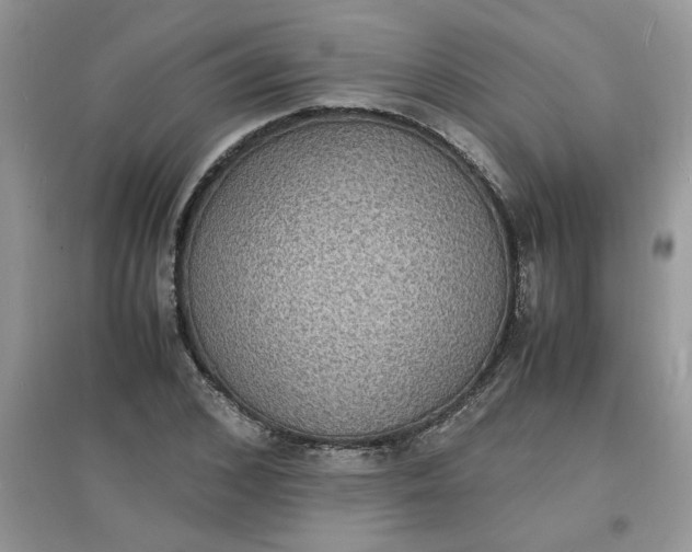 X0000097620976200803141958