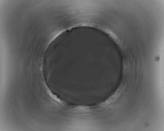 X0000097620977200803141958