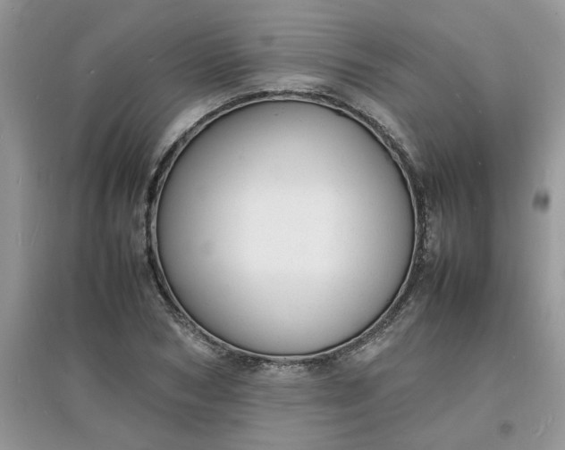 X0000097620978200803141958