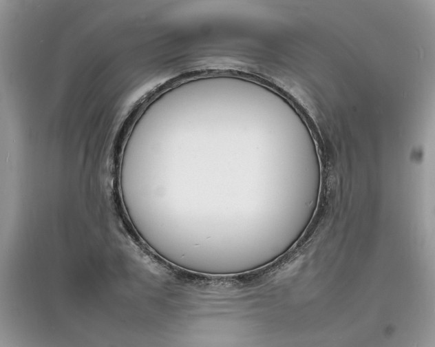 X0000097620979200803141958