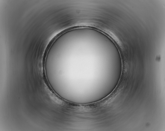 X0000097620980200803141958