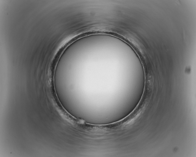 X0000097620981200803141958
