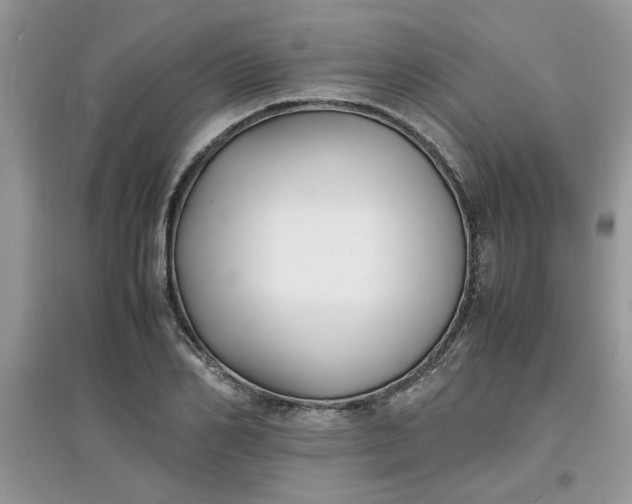 X0000097620982200803141958