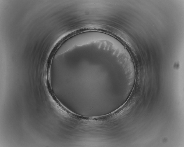 X0000097620984200803141958
