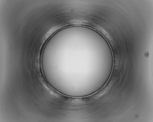 X0000097620986200803141958